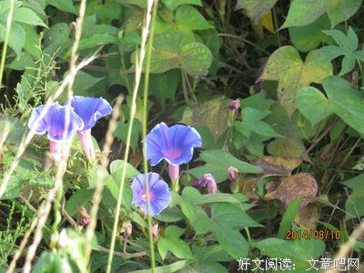 少不得的句子