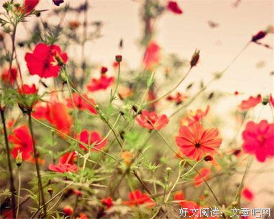 描写自顾不暇的语句摘抄