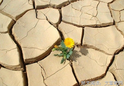 关于蒂莫西名言名句