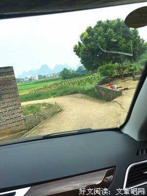 其实我们并不需要那么多的「无微不至」。