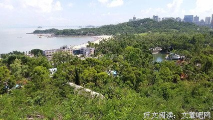摘录——单独中的洞见名句欣赏