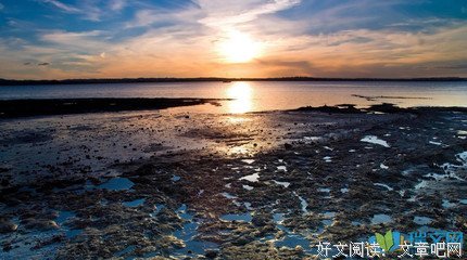 有关『人生哲是岁开』的句子