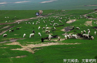 这锅我不背好词好句