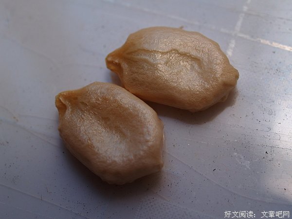 有关子瓜的名言