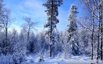 2018以冬名言大全