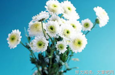最新的元稹名言大全