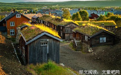 凤歌精彩语录