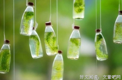十二的格言