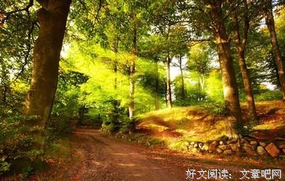 《伤感美文》语录摘抄大全
