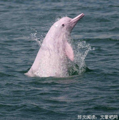 最经典的《长长的我有 我们慢慢多人也走》经典名句