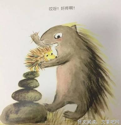 最全的《你好像一只刺猬，可我好想抱抱你》名句欣赏