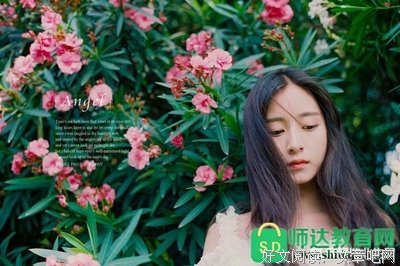 《会能入盛夏起么门》小说句子