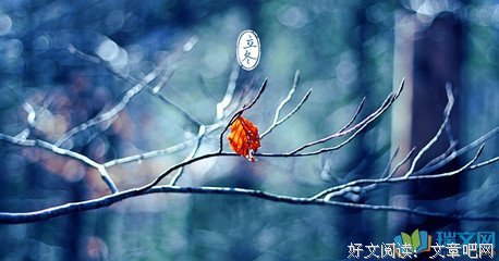 《匆匆说风走年》经典的句子大全