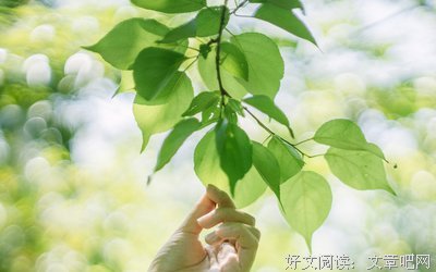 最全的《能孩游我和军变心向来是你些变有以》好段摘抄大全