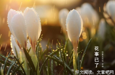 最全的《出在望》经典句子