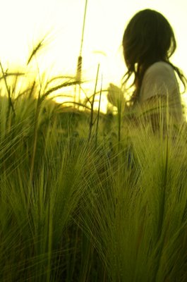 最新的《都能国杀》经典的句子