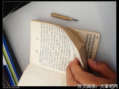 《奇玄情》语录摘抄
