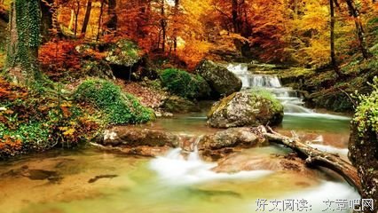 最新的《你有权保持沉默》经典语句大全