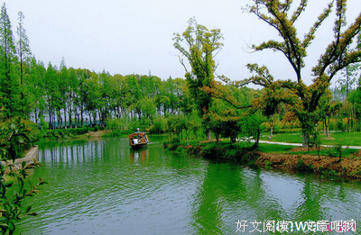 最新的《伍语》佳句摘抄