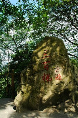 关于舍己为人的名句摘抄