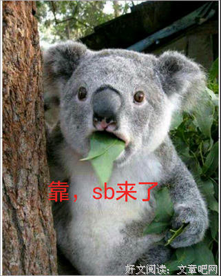 发哥的名句_关于发哥的名句