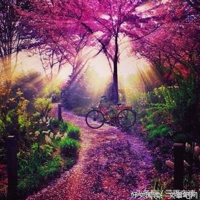 怨天尤人的句子