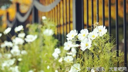 关于悠闲自得的名句摘抄