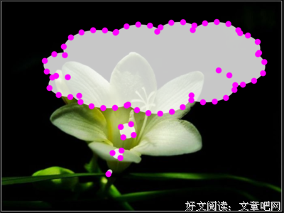 关于老妻的语句