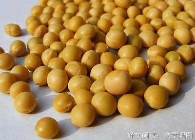 怎样延缓衰老、保持年轻态？