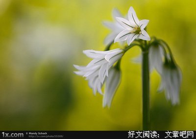卡耐基经典名句