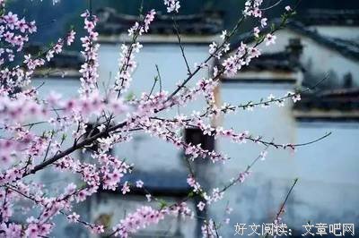无心语