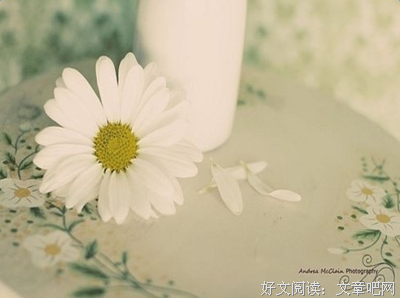 心的感受经典的句子