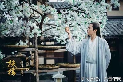 《扶摇皇我也》的句子