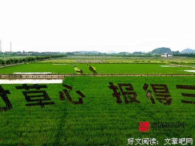 最全的孟郊名言