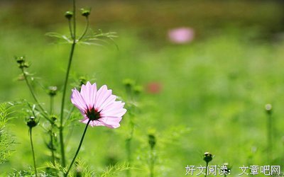 有关廿井名句欣赏