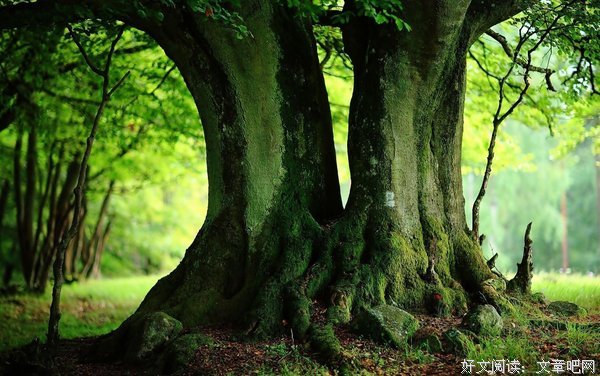 关于徒往经典名句