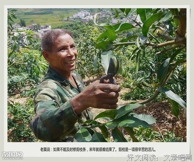 有关文珍名言大全