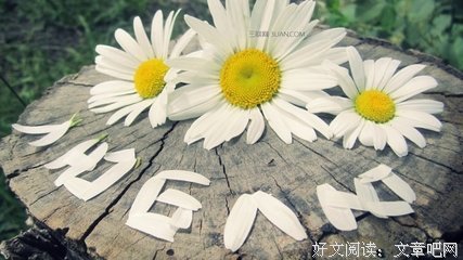 关于浅绿名人名言