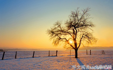 最新的《你能来，最好不过》好段摘抄大全
