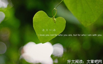 最全的《心萌心语》经典语录大全