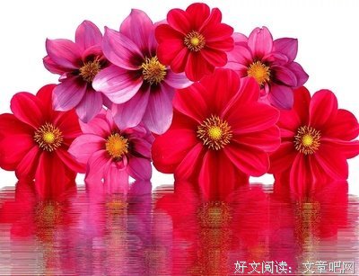 最经典的《凡心心语》好段摘抄