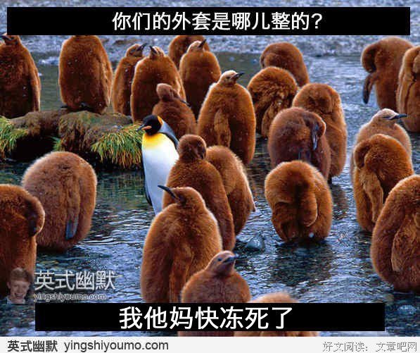 关于寒冷的格言
