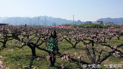 描写张思的经典句子