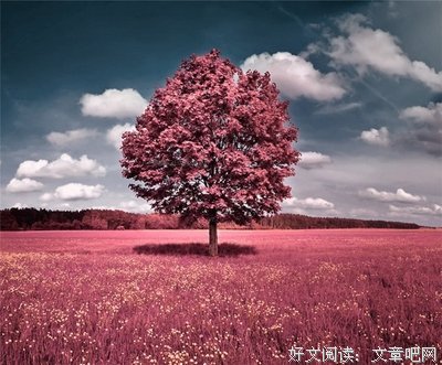 轰轰烈烈格言警句