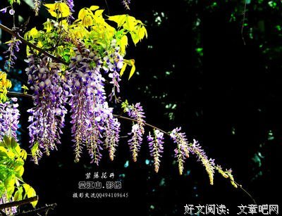 守一片冰心，不叹霜天凉寒