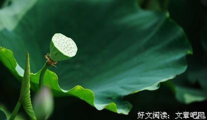 风景的句子