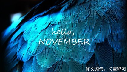 关于月起中的优美句子