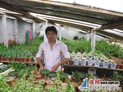 有关秦时明生里的句子