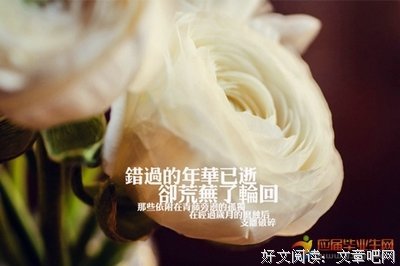 二次元的句子