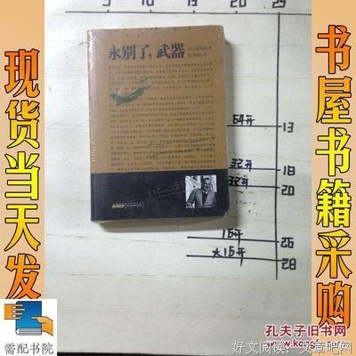 小说集经典的句子